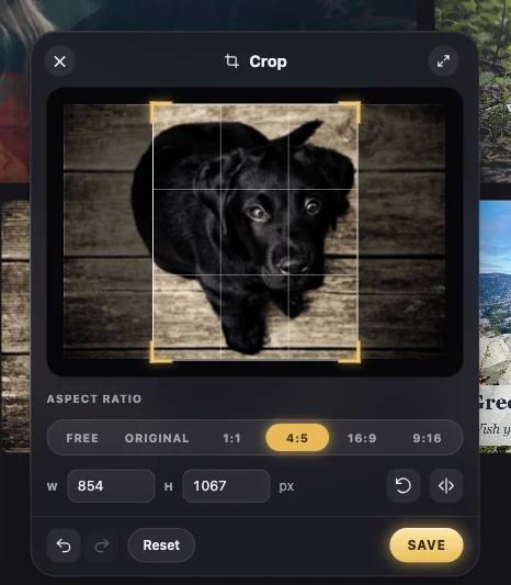 The Crop window: a puppy photo with a 4:5 crop box, the ratios, and the size in pixels