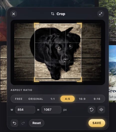 The Crop window: a puppy photo with a 4:5 crop box, the ratios, and the size in pixels