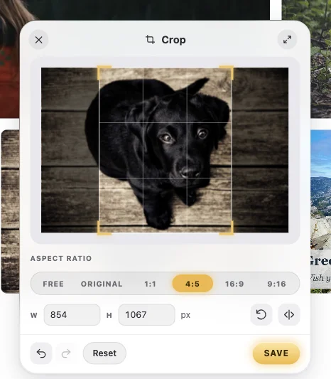 The Crop window: a puppy photo with a 4:5 crop box, the ratios, and the size in pixels