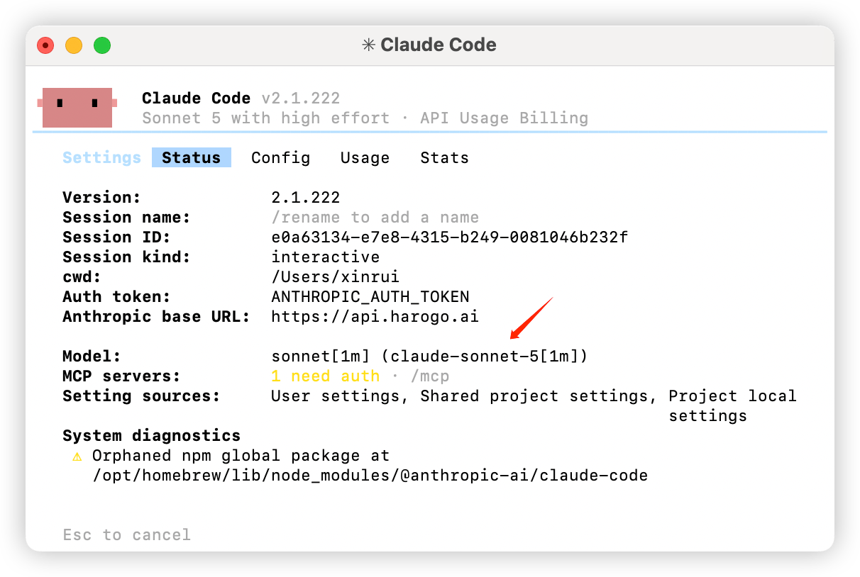Claude Code 终端中使用 status 和 models 命令查看模型配置