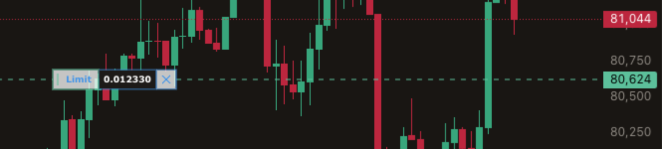 The placed limit order drawn on the BTC chart at 80,624.
