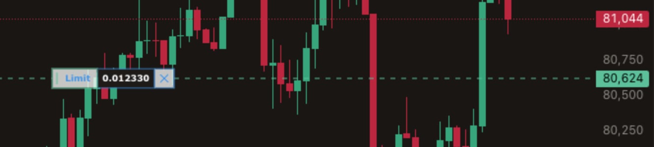 The placed limit order drawn on the BTC chart at 80,624.