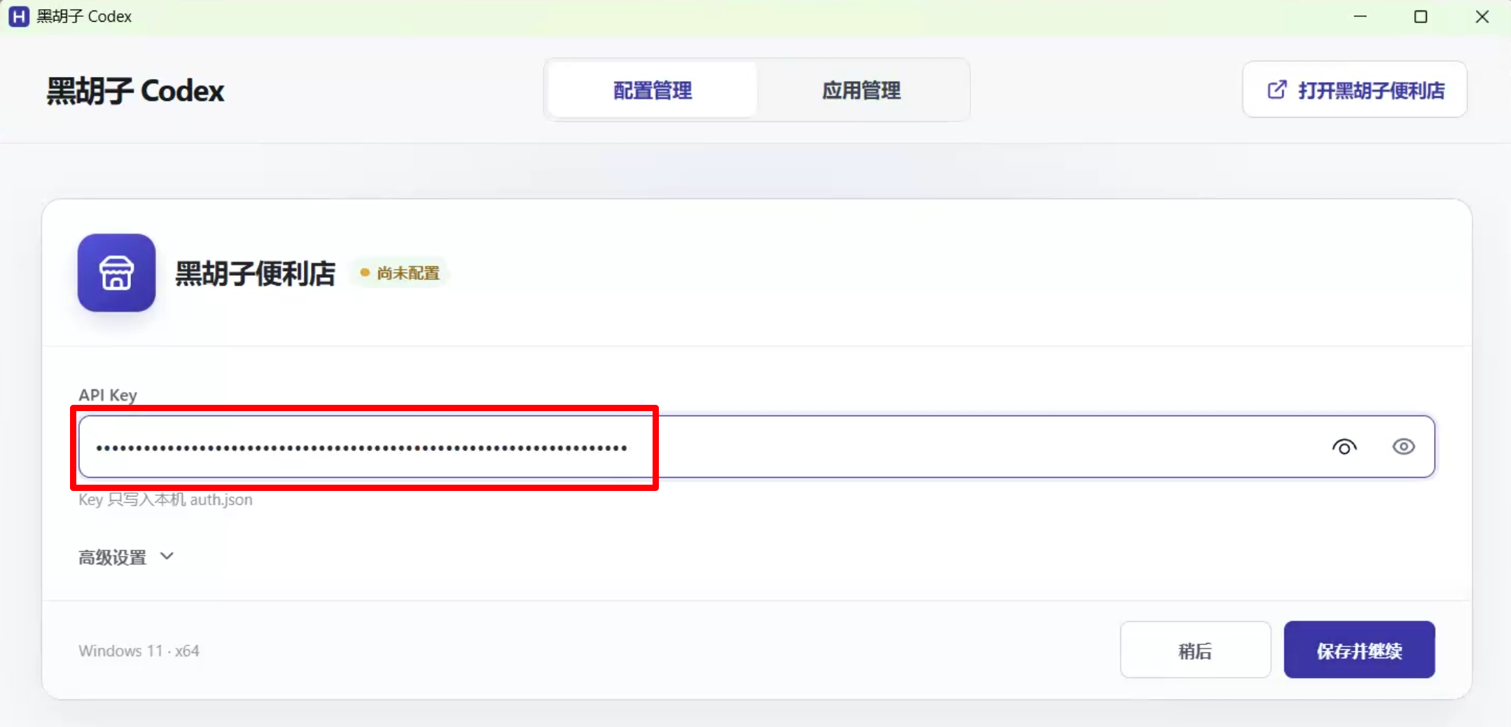 将完整 API Key 粘贴到安装器并保存