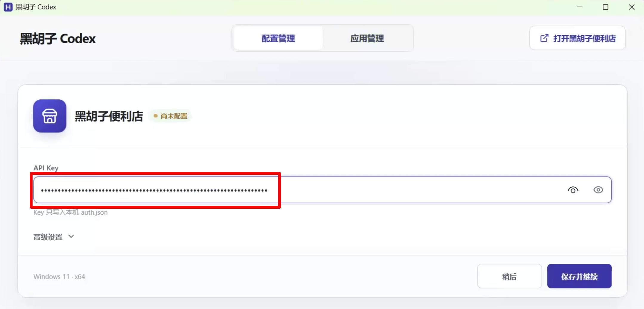 将完整 API Key 粘贴到安装器并保存