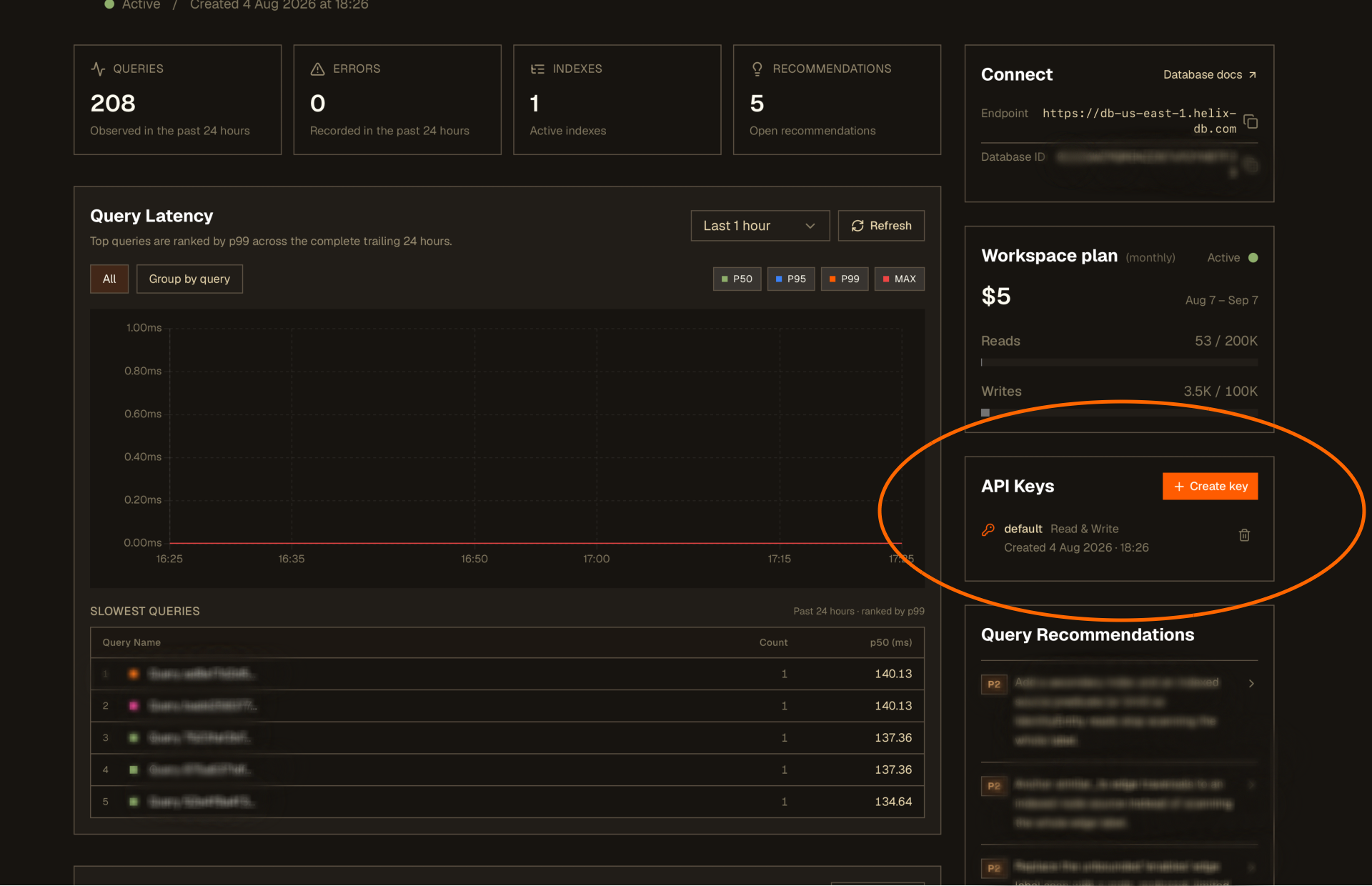 Active database details page with connection details, workspace plan, API keys, and query insights