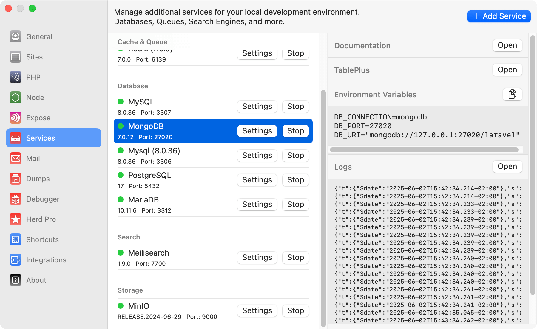 Screenshot of MongoDB settings
