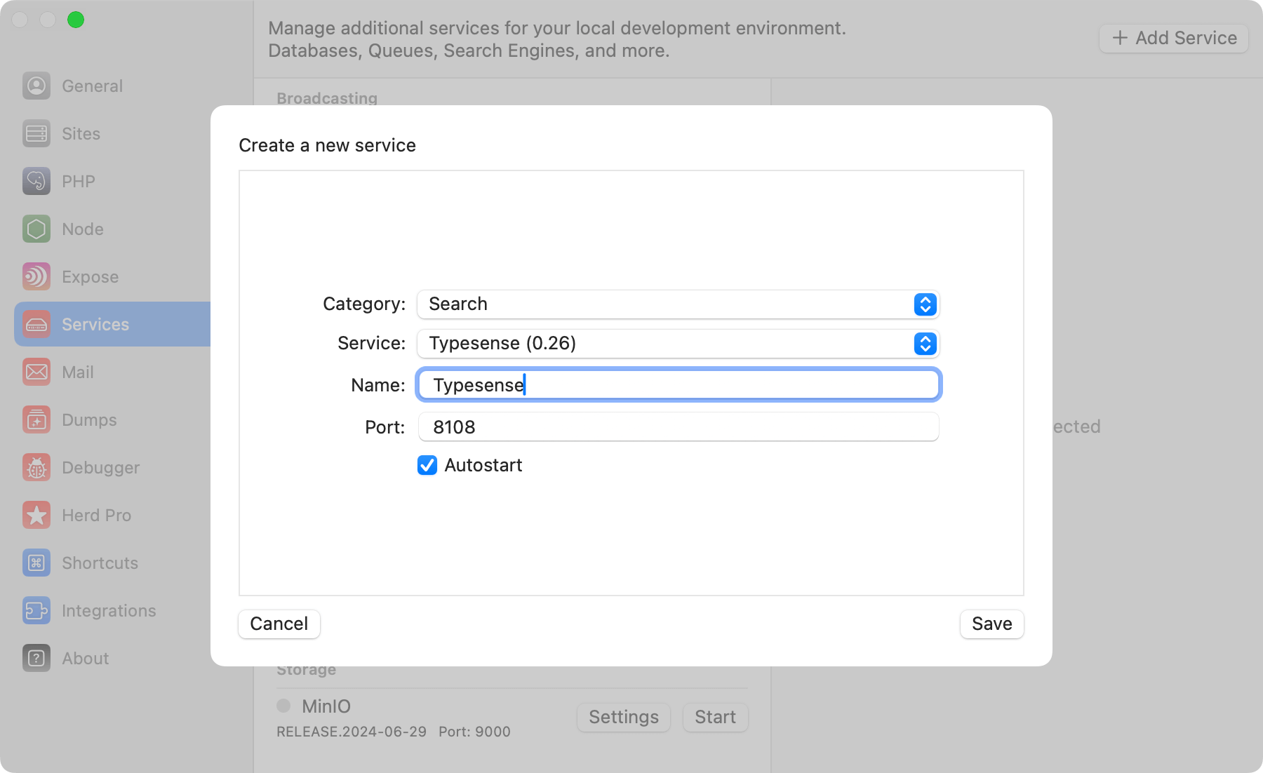Screenshot of Typesense settings
