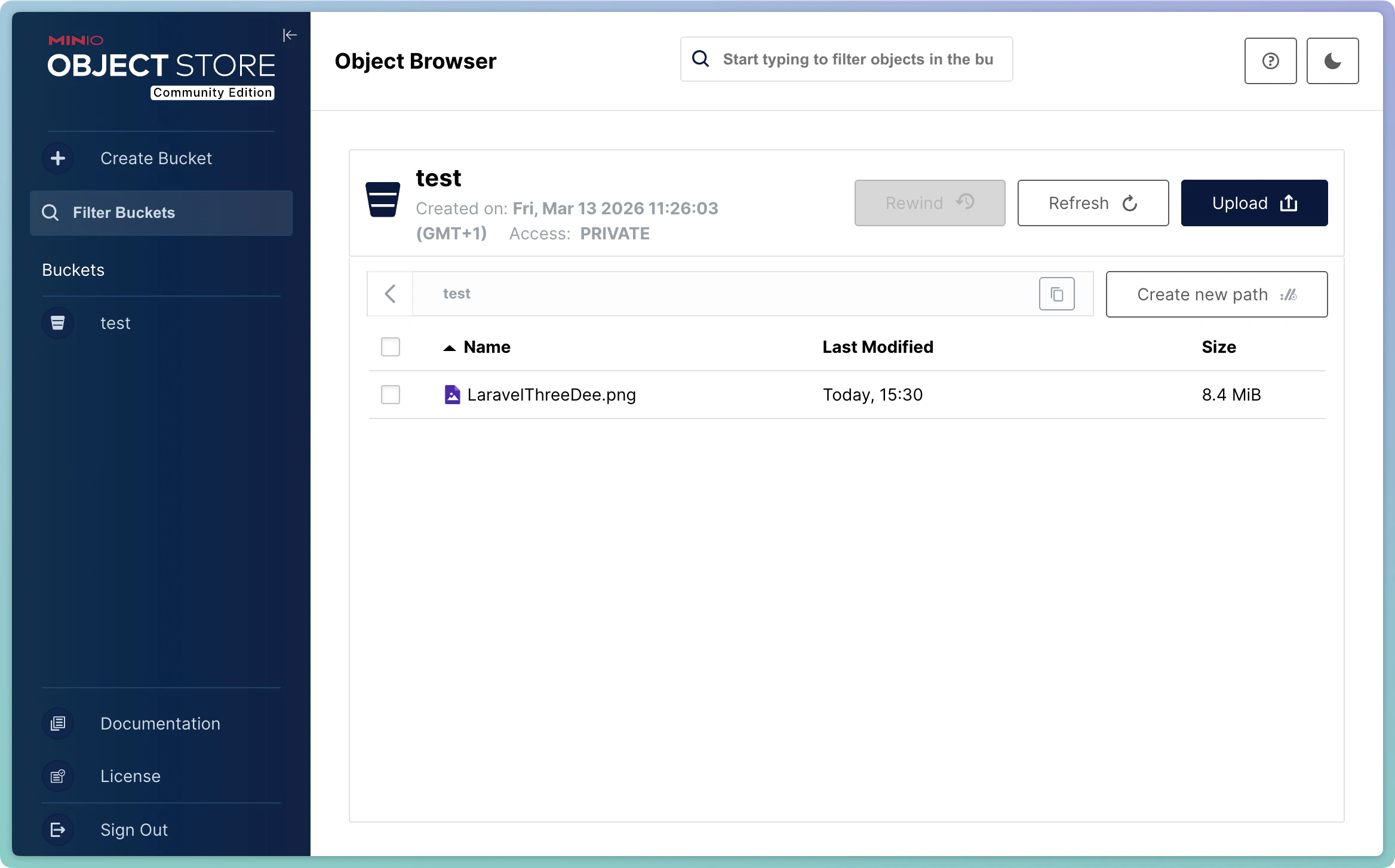 Screenshot of the MinIO dashboard
