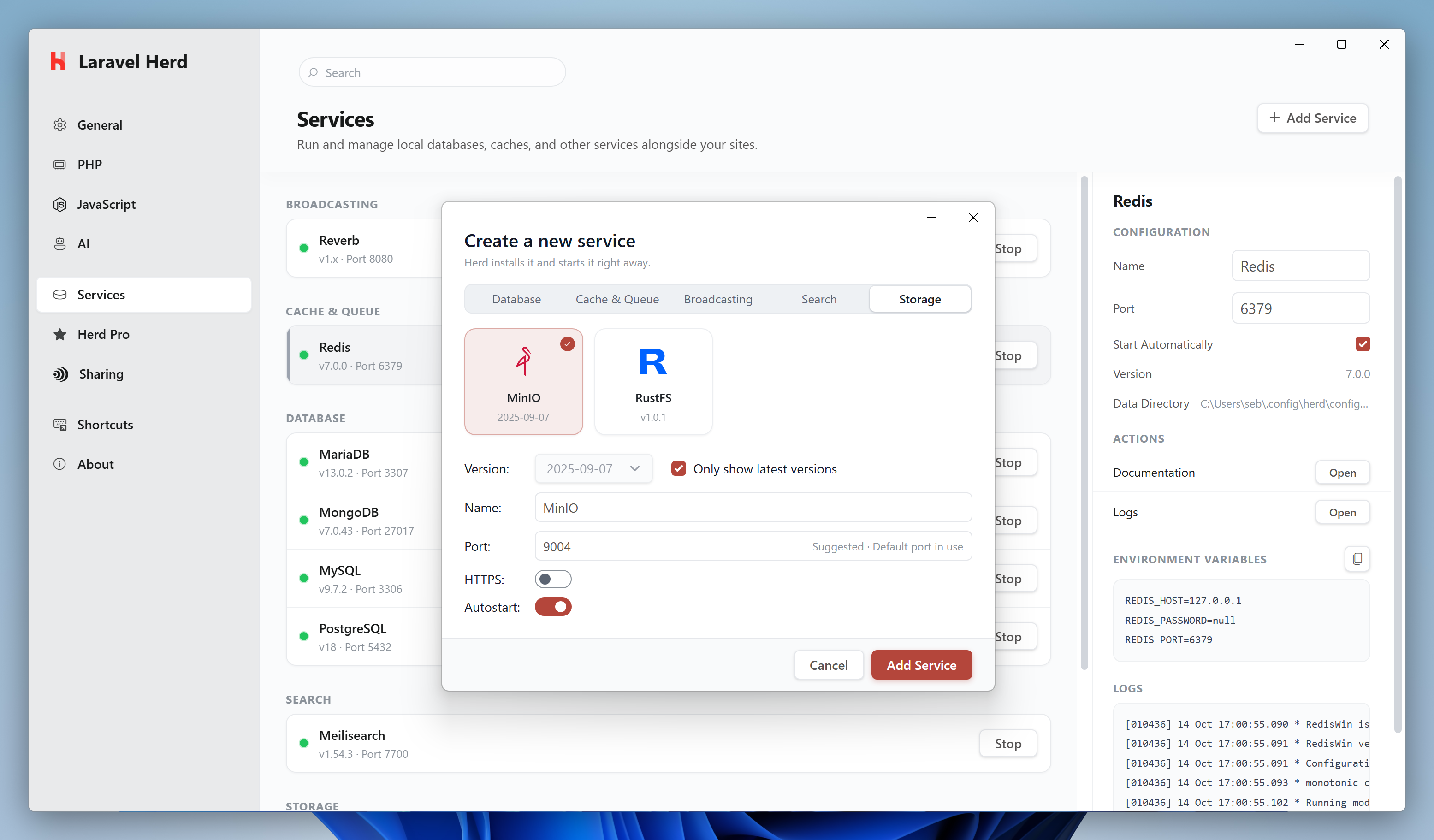 Screenshot of minio settings