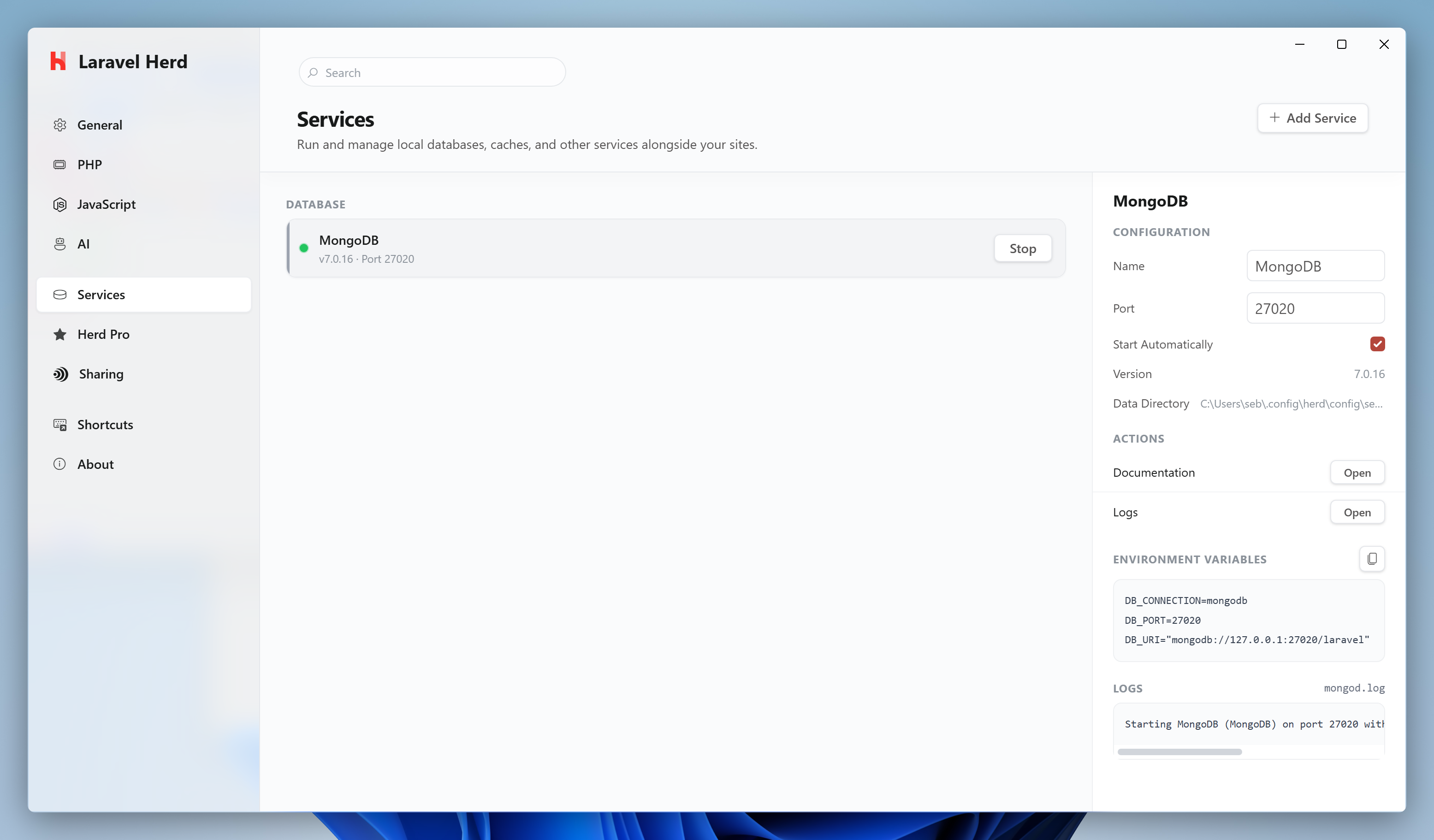 Screenshot of MongoDB settings
