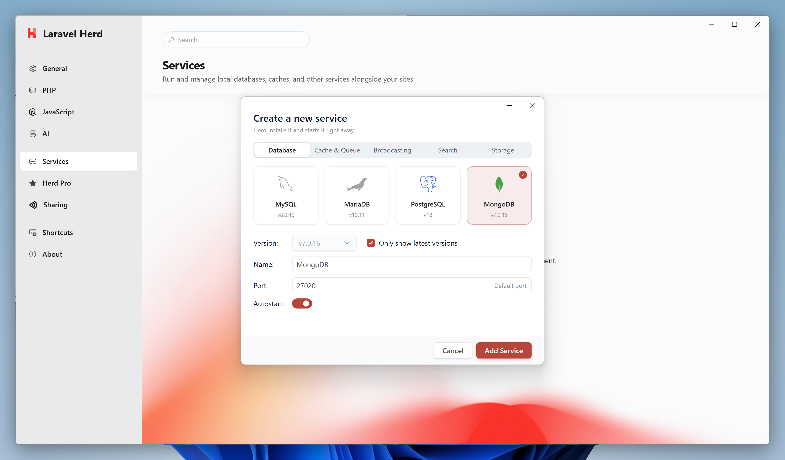 Screenshot of the MongoDB setup