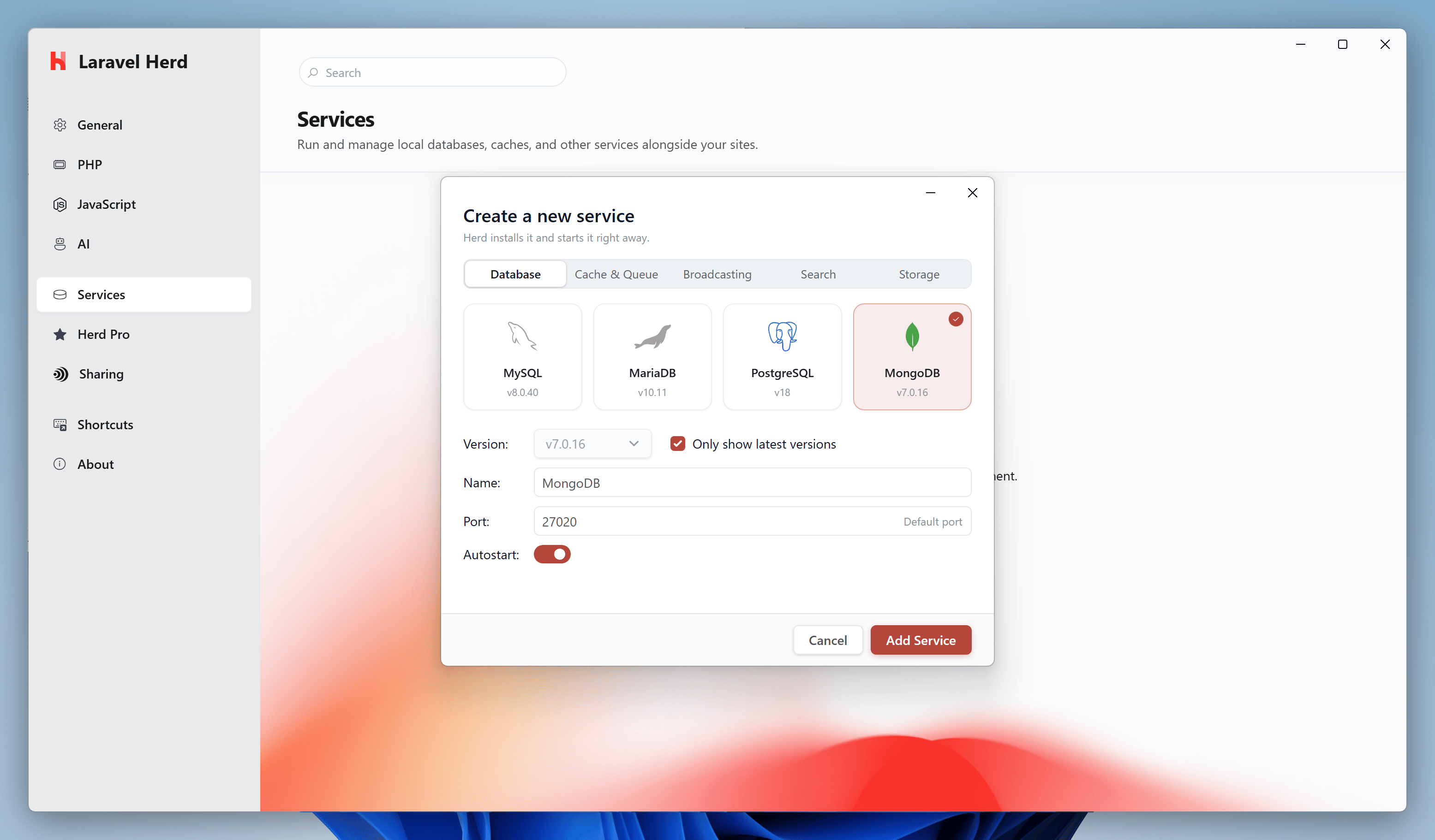 Screenshot of the MongoDB setup