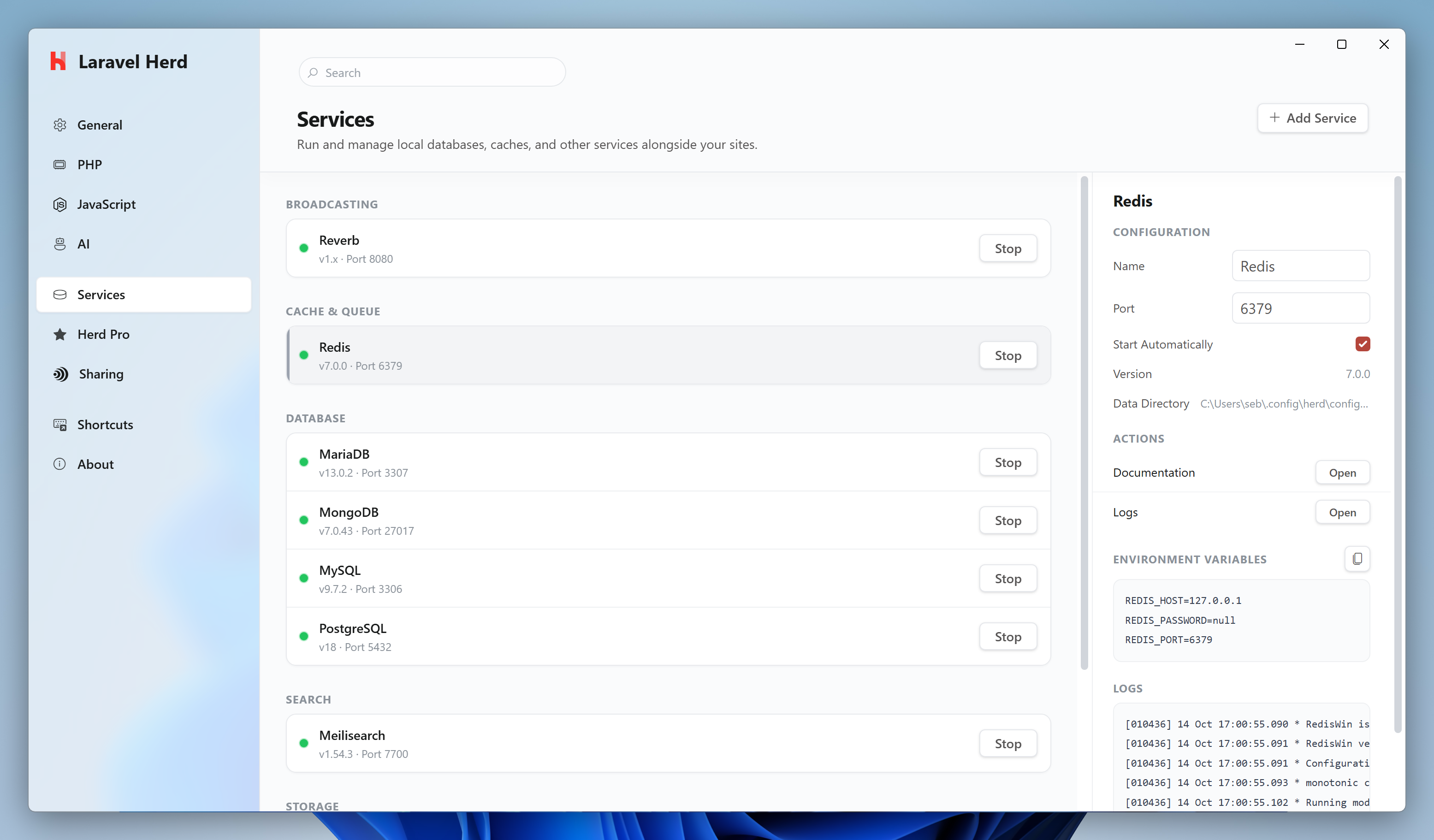Redis in the services settings