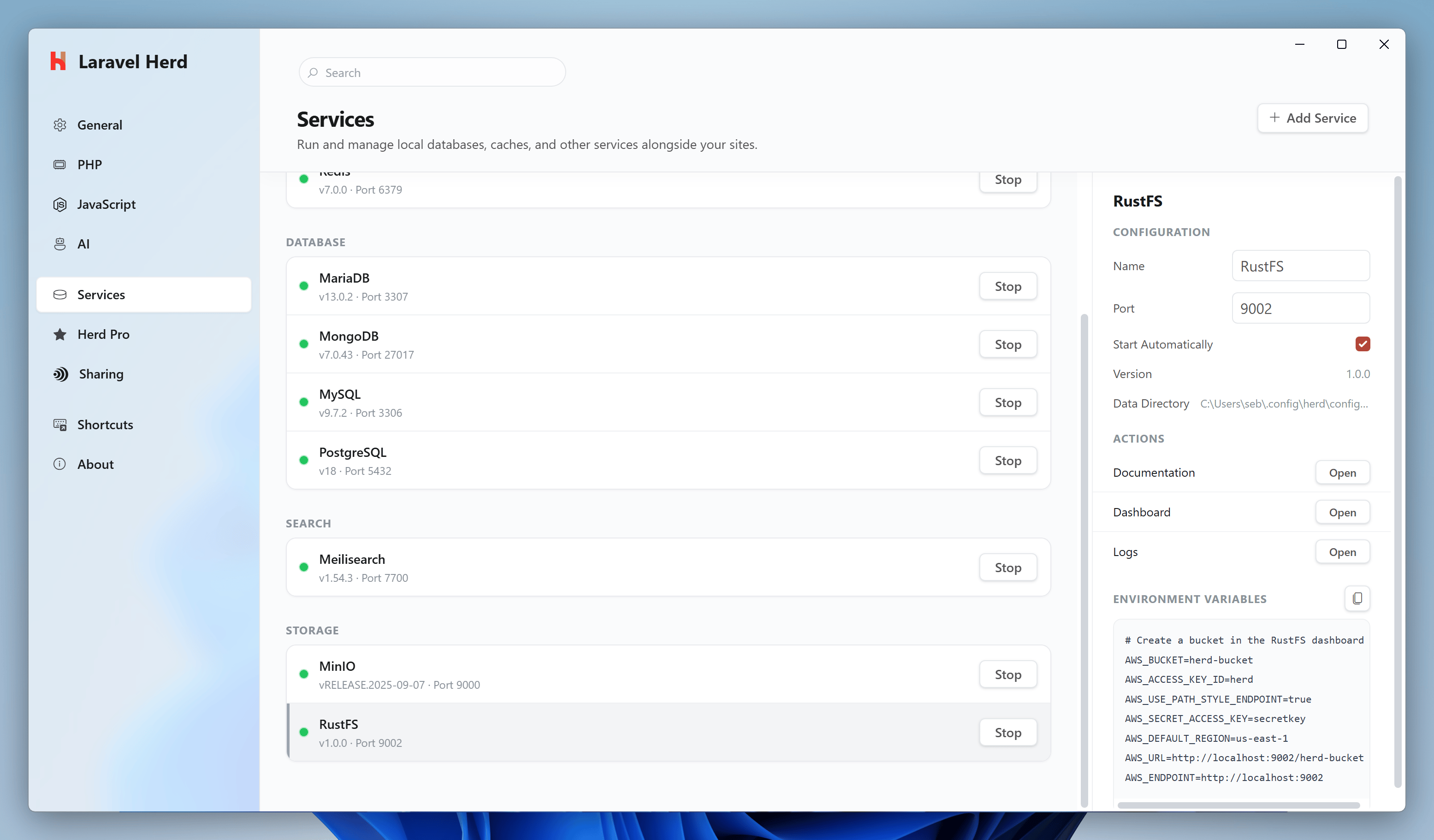 Screenshot of the RustFS configuration
