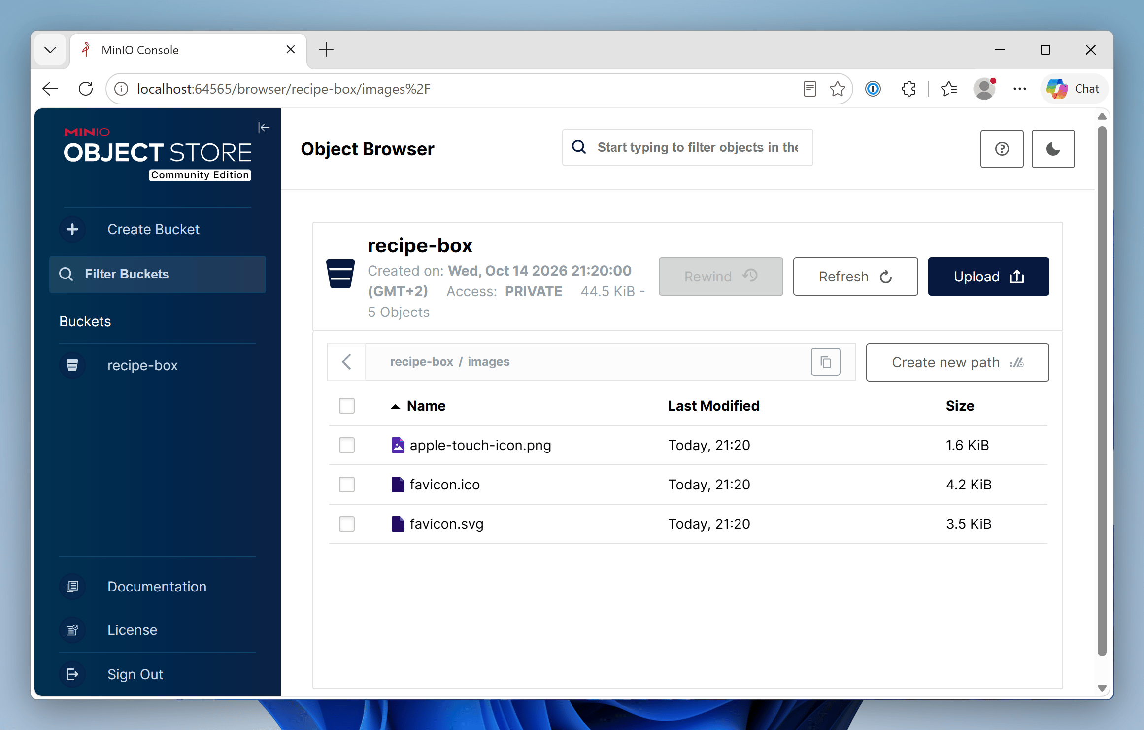 Screenshot of the MinIO dashboard