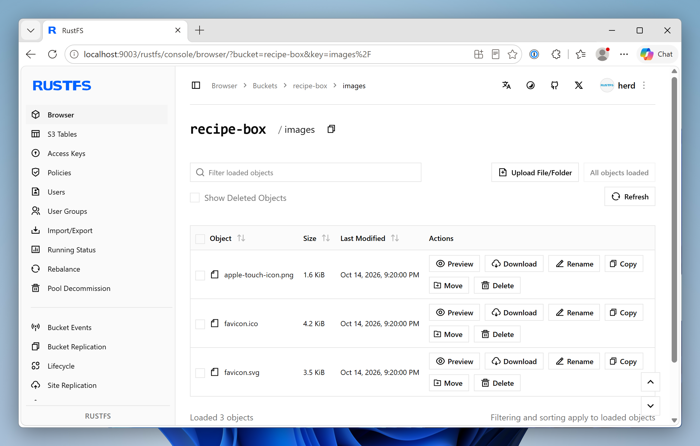 Screenshot of the RustFS dashboard