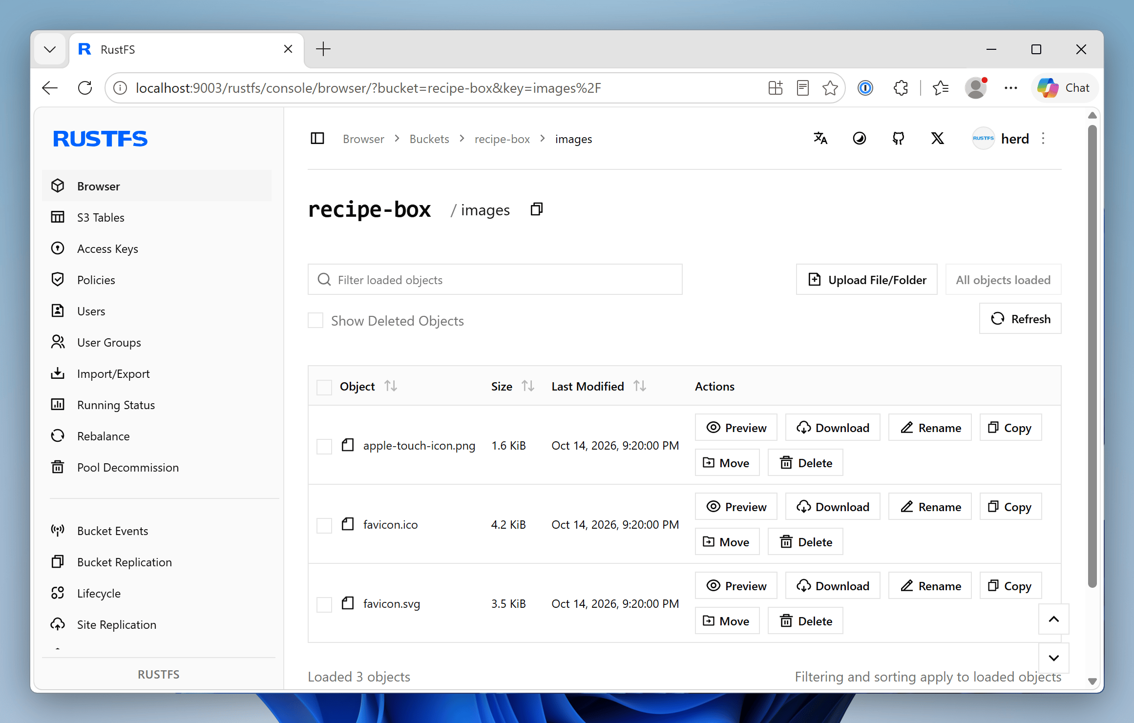 Screenshot of the RustFS dashboard