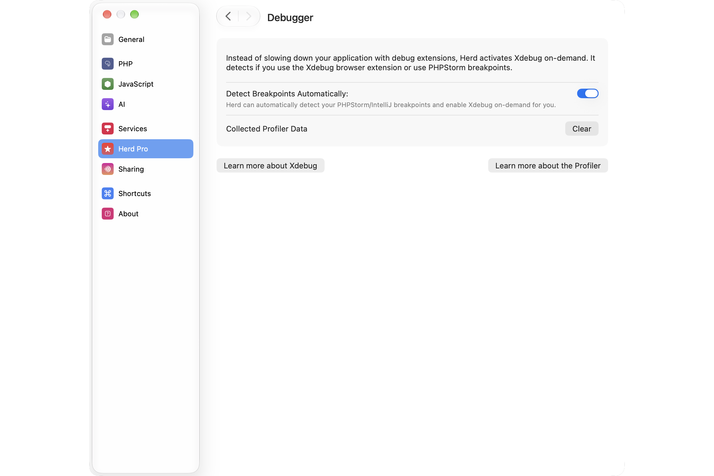 Debugger Settings