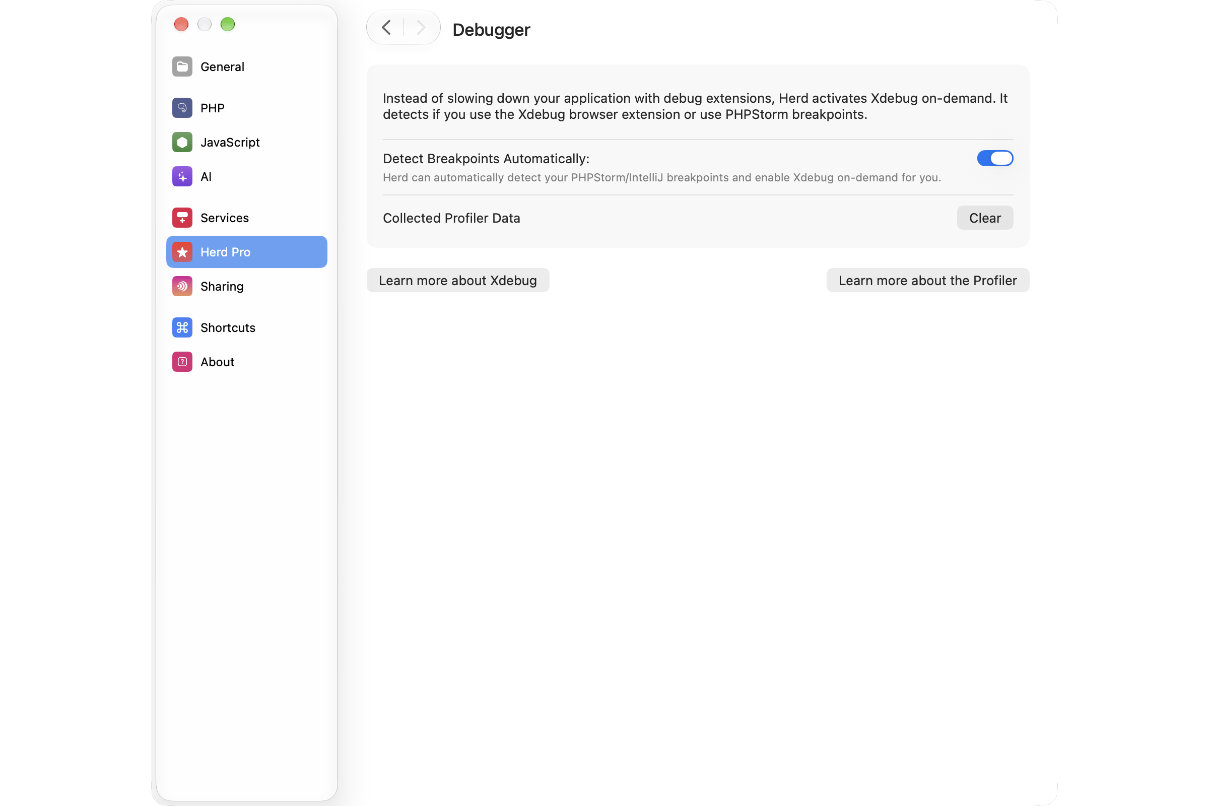 Debugger Settings
