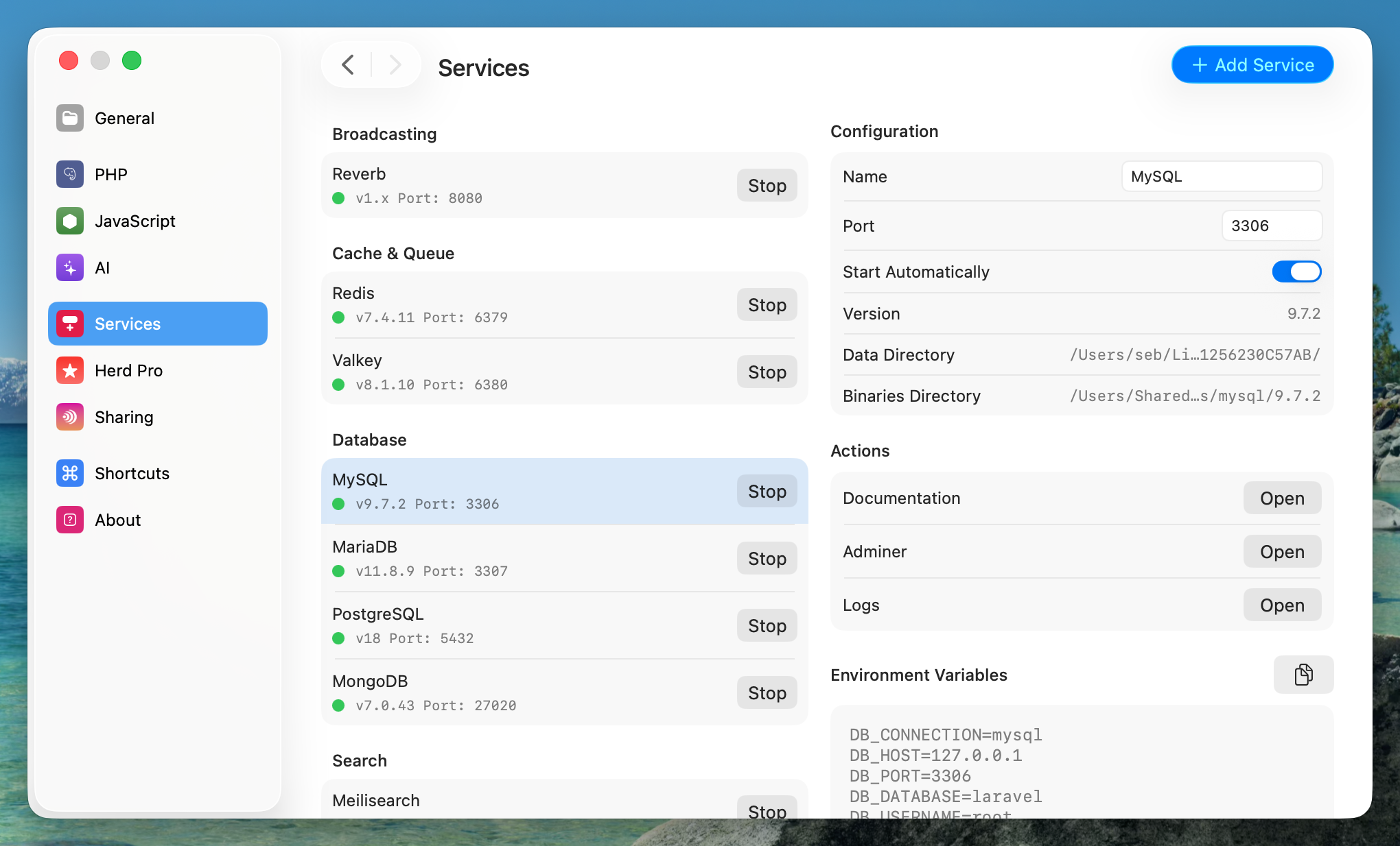 Screenshot of service settings