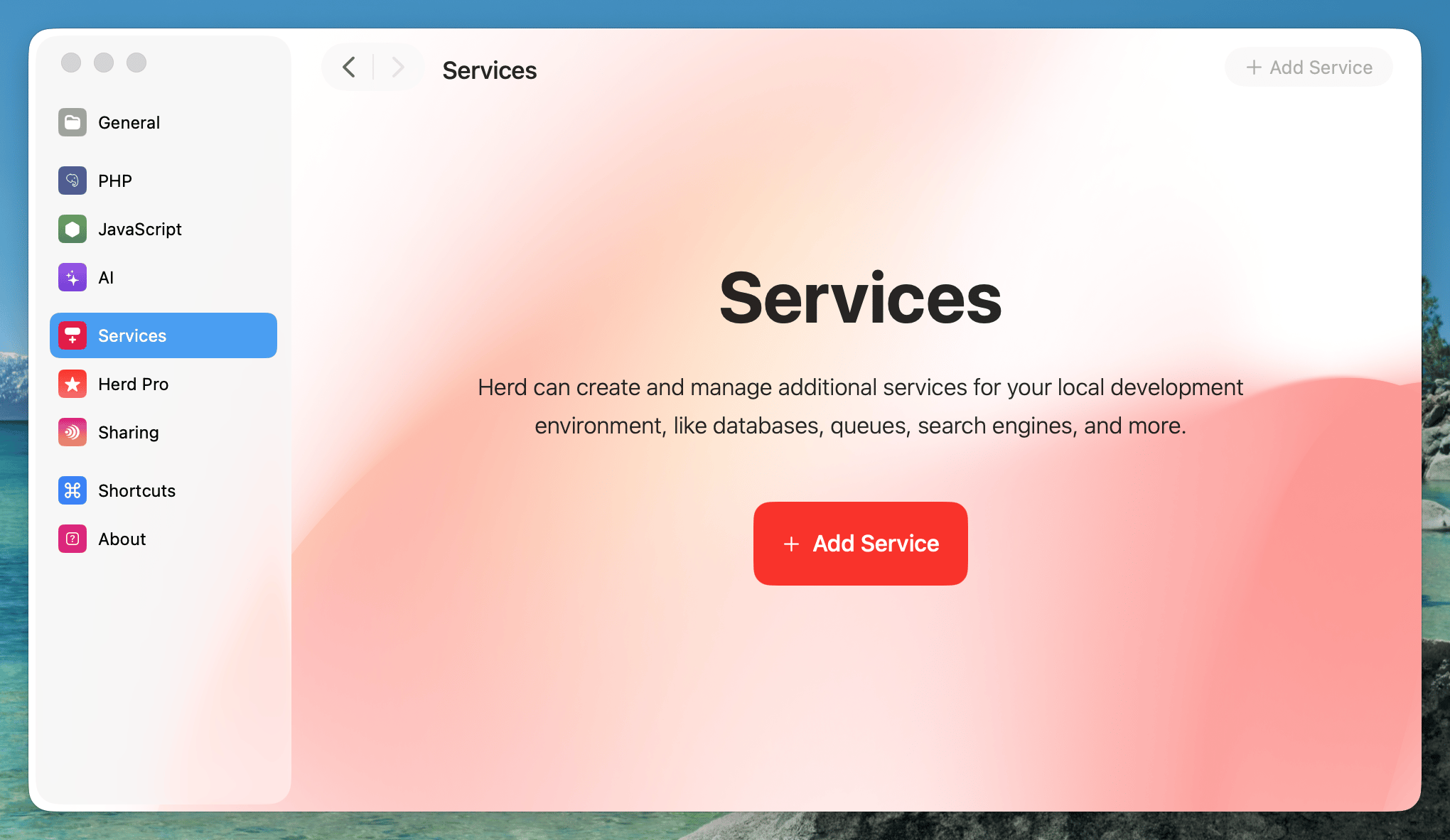 Services tab of the settings without any services