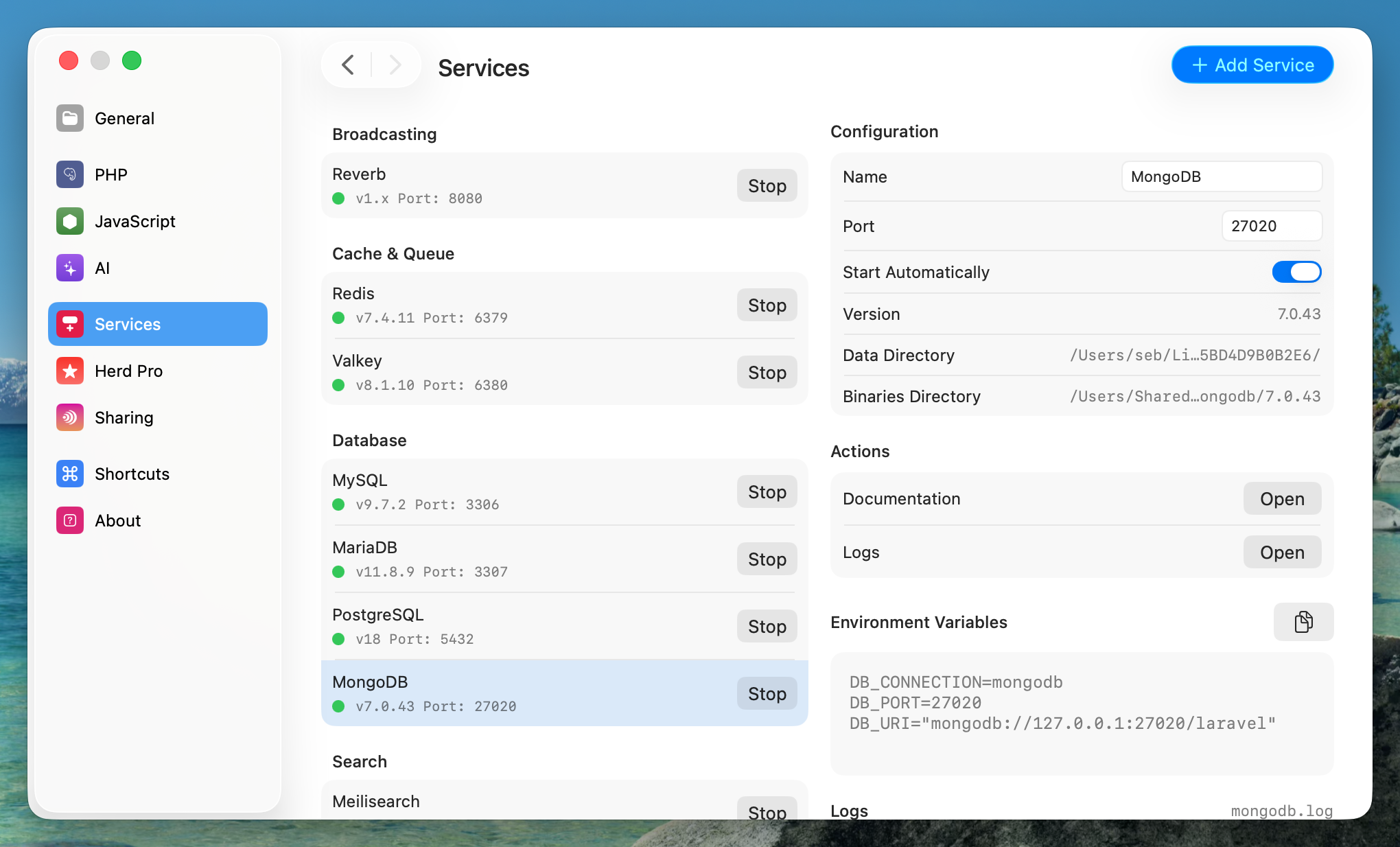 Screenshot of MongoDB settings