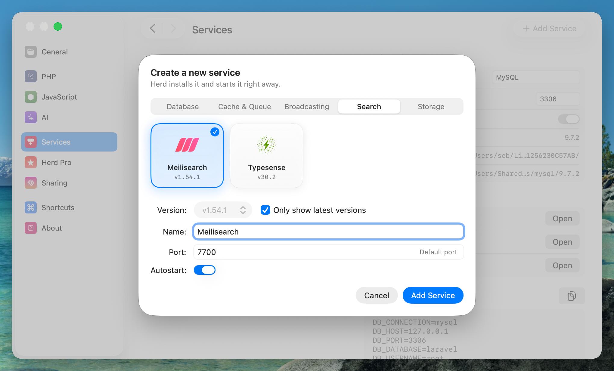 Screenshot of Meilisearch settings