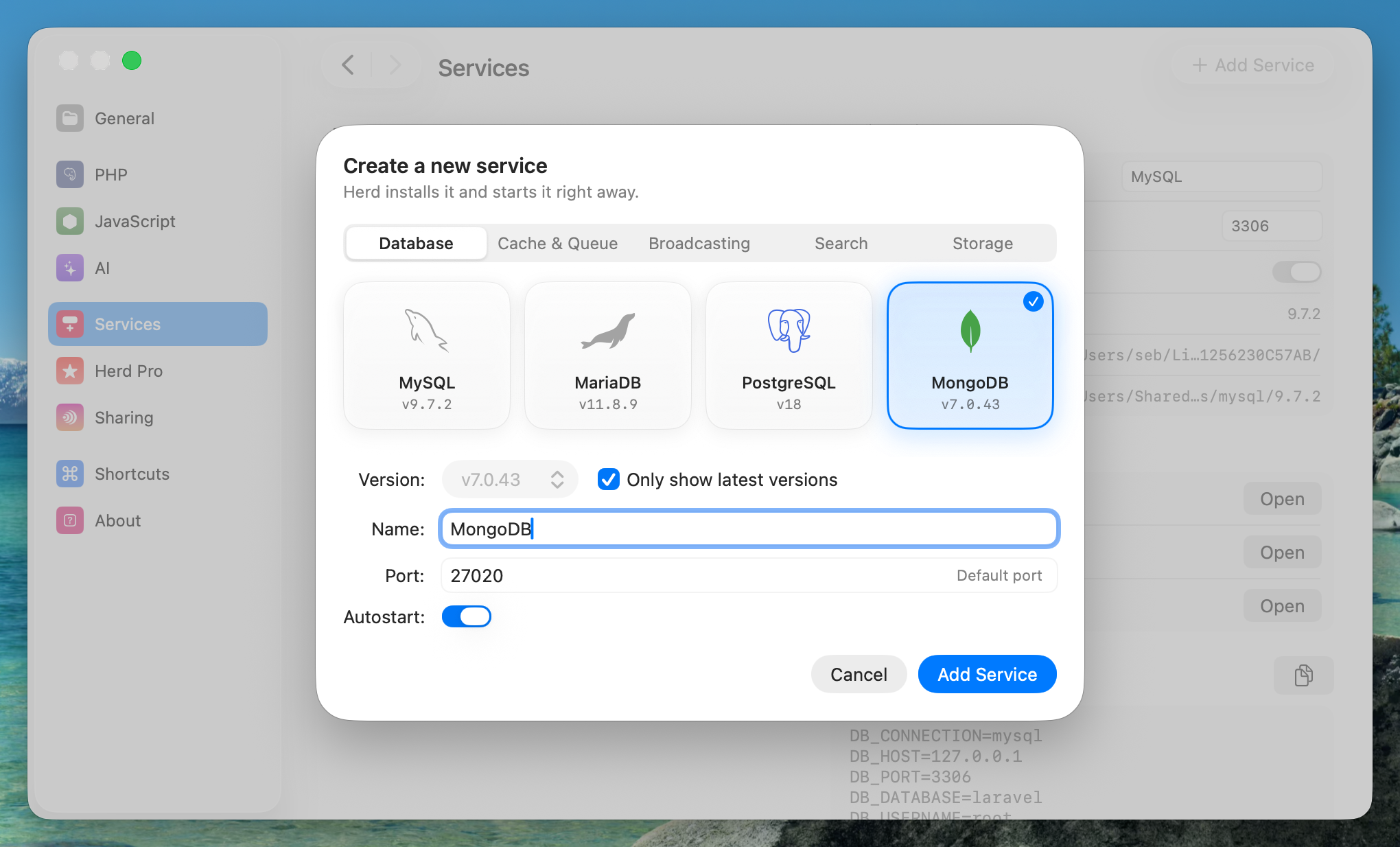 Screenshot of the MongoDB setup