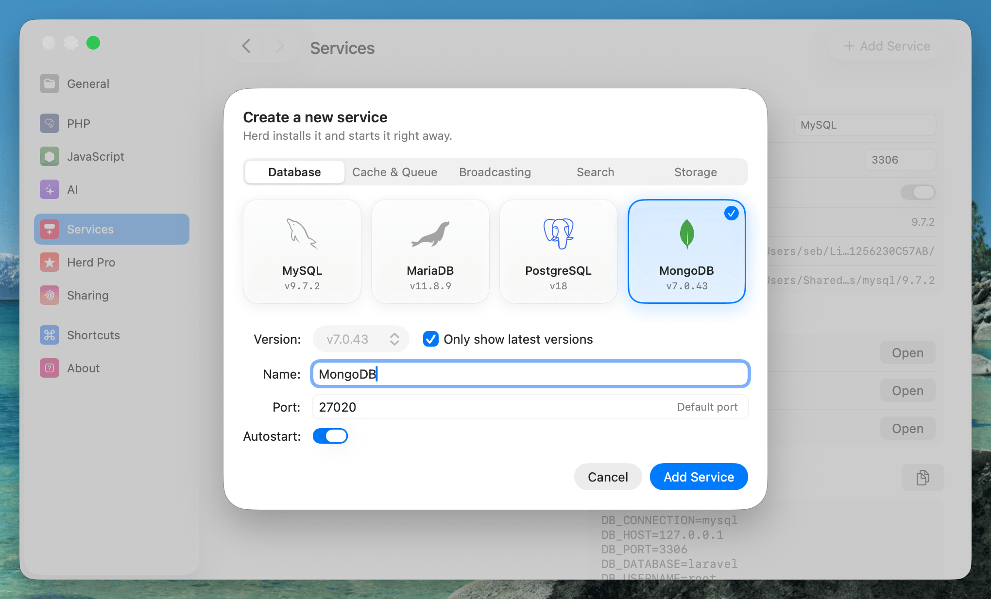 Screenshot of the MongoDB setup