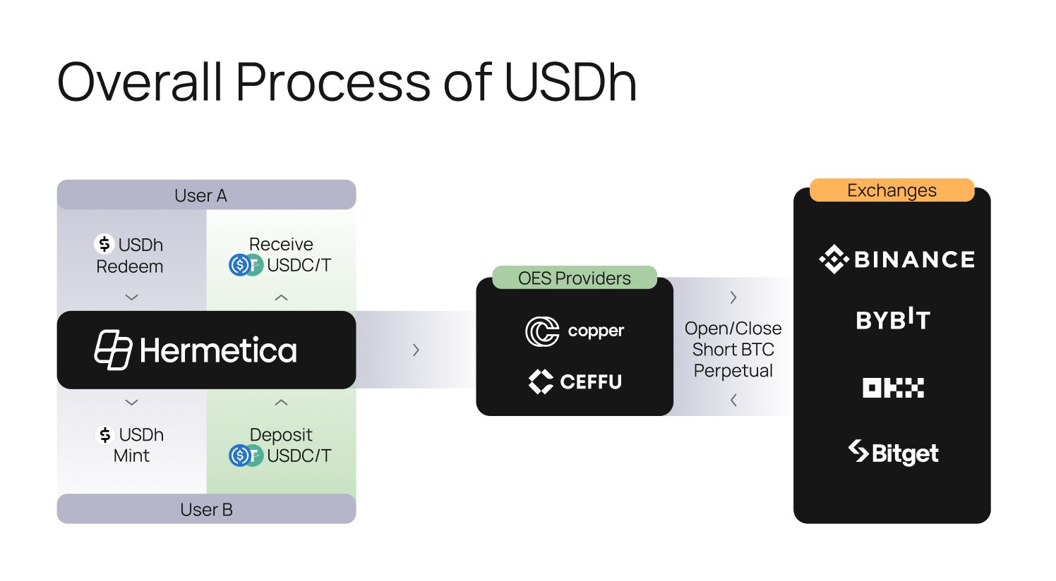 Overall Process of USDh