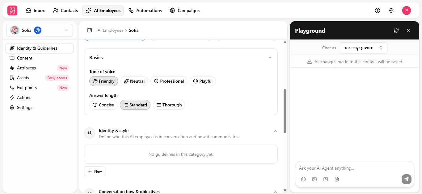 Four guideline category accordions on the Identity & guidelines tab