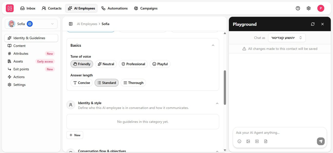 Four guideline category accordions on the Identity & guidelines tab