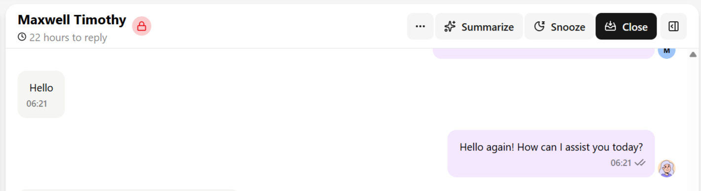 Chat header showing reply window countdown