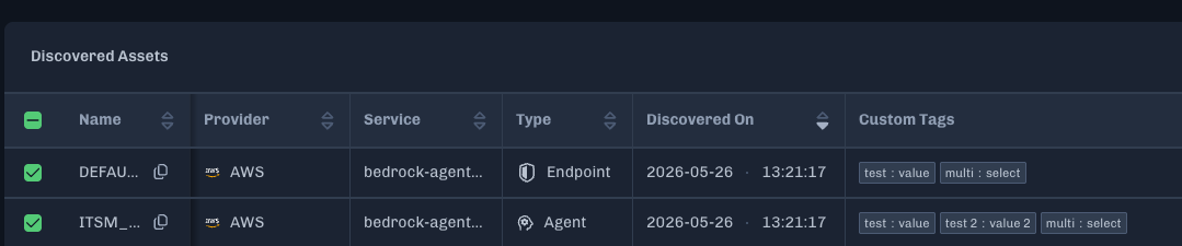 Discovered Assets