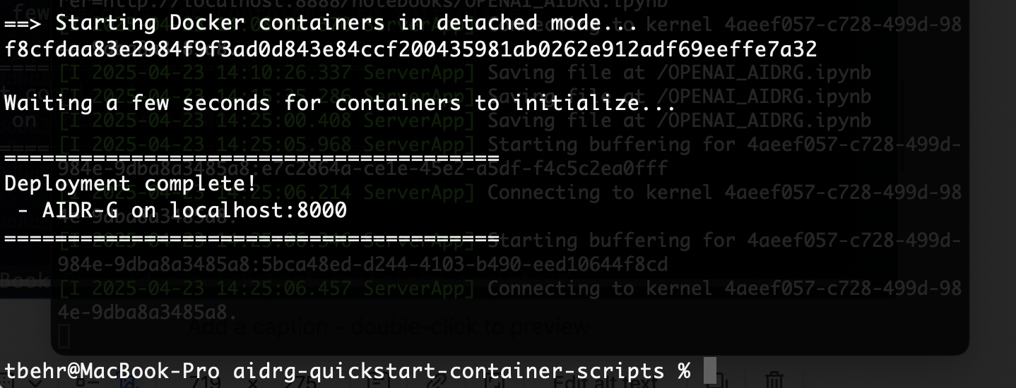 Runtime Security Architecture