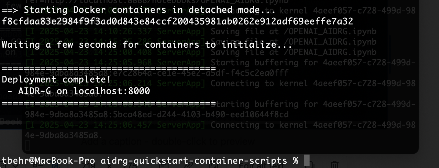 Runtime Security Architecture