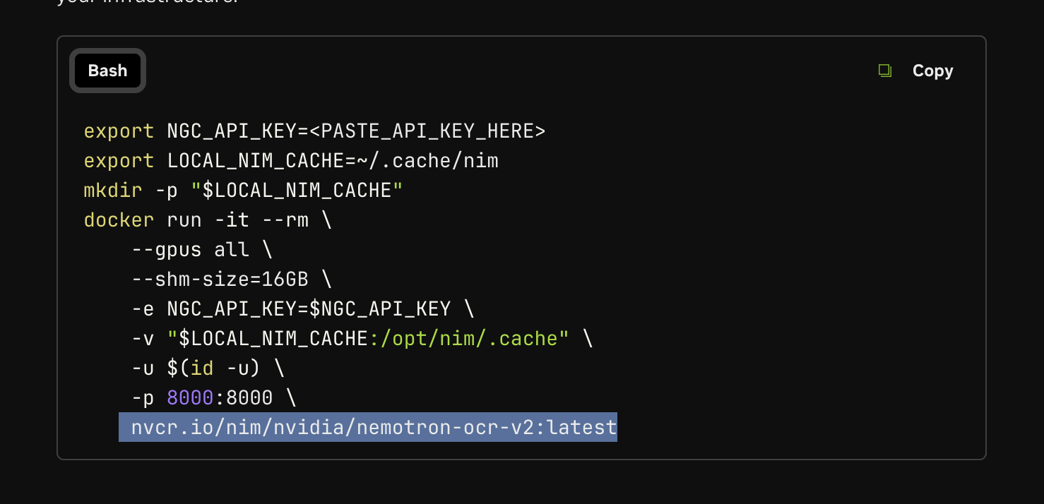 NVIDIA image path example