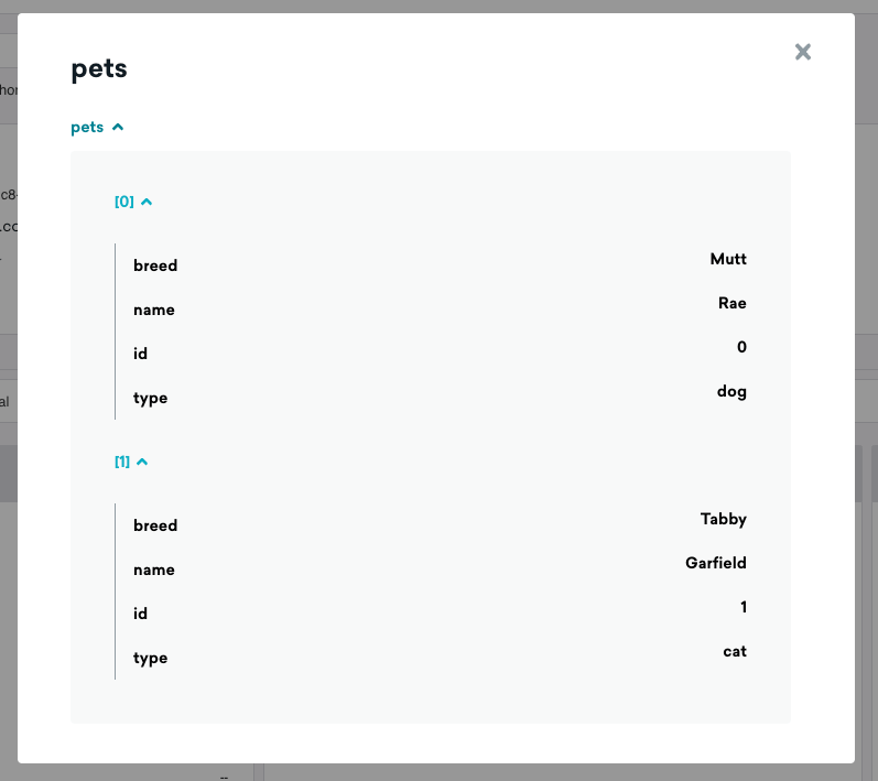 Pet data appearing in the Braze UI