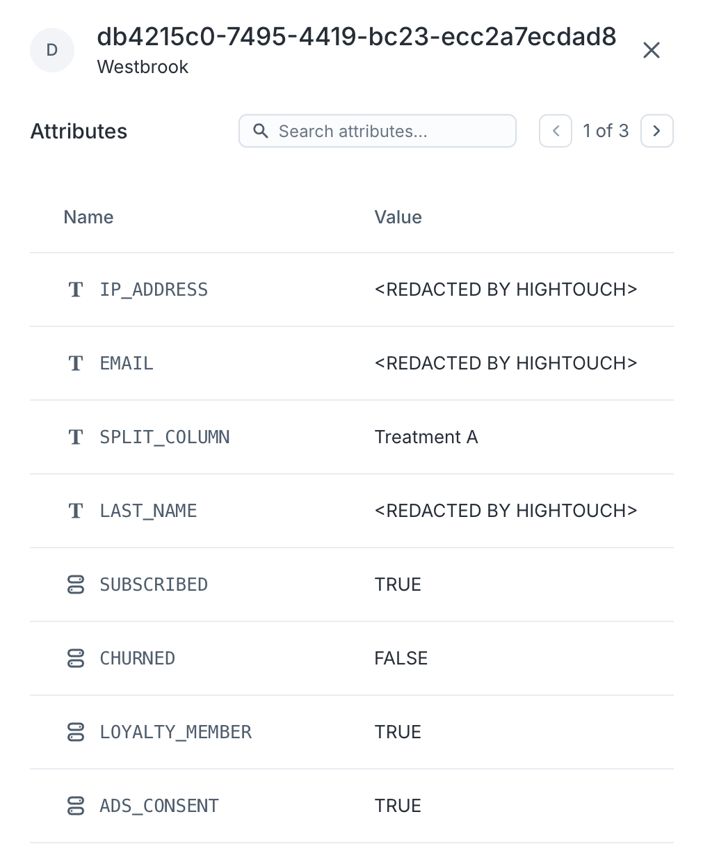 Previewing an audience member in the Hightouch UI