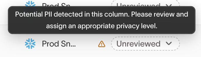 PII flagged column