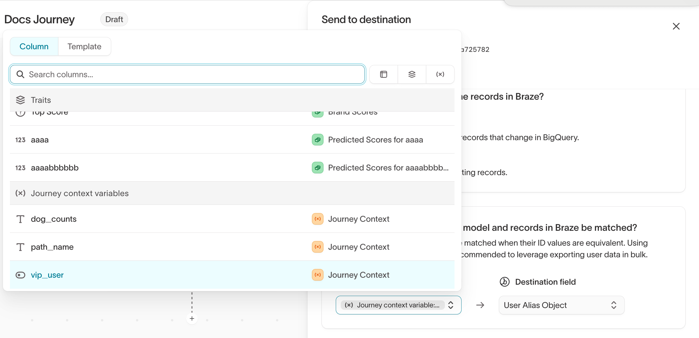 Mapping a journey variable to a destination field