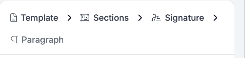 The settings panel breadcrumb reading Template, then Sections, then Signature, then Paragraph, with Paragraph greyed out as the current level
