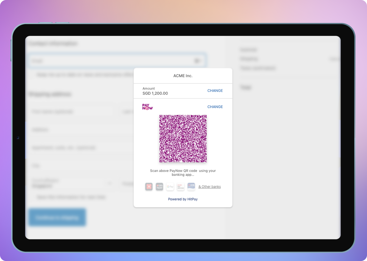 PayNow Checkout Drop IN