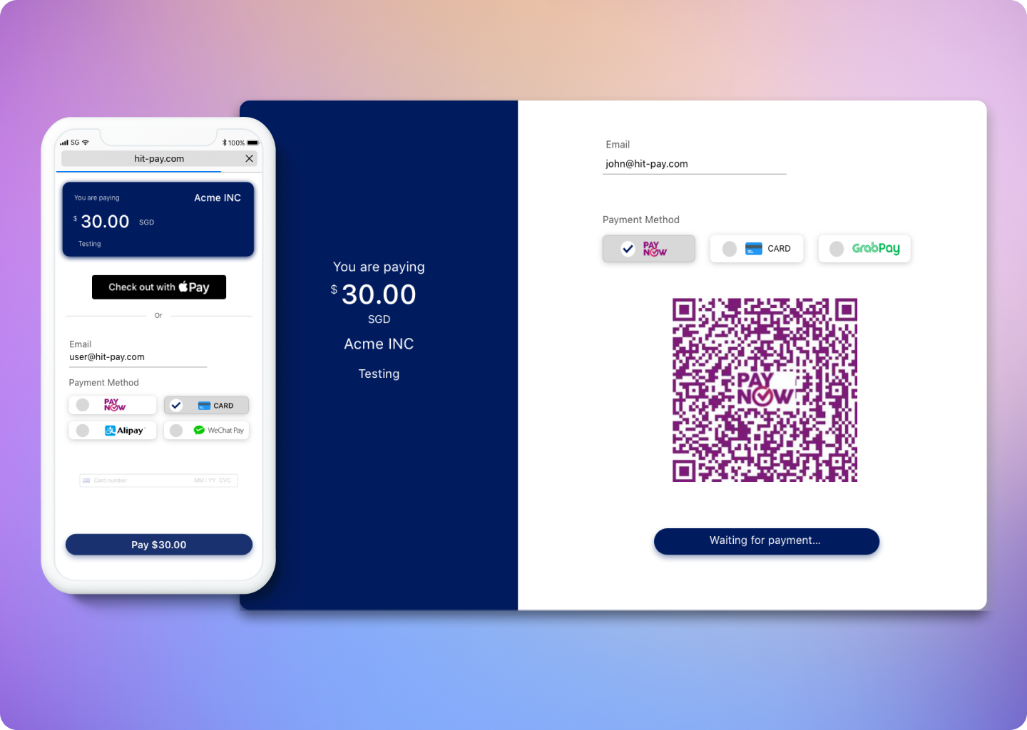 PayNow Checkout Page