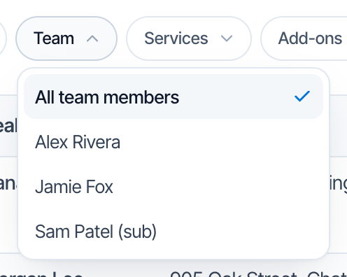 The Team filter opened, with All team members (ticked), Alex Rivera, Jamie Fox and Sam Patel (sub)