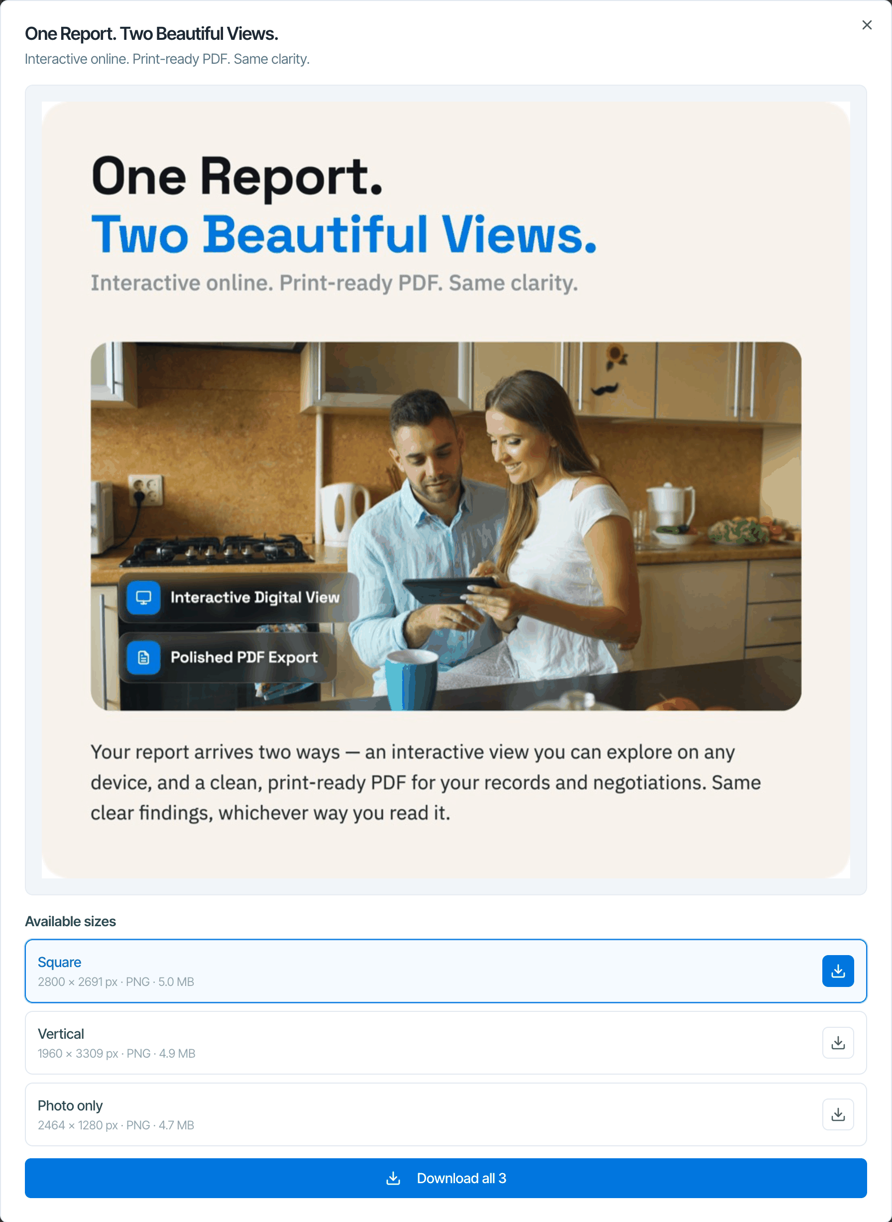 The sizes window for One Report. Two Beautiful Views.: a large preview, then Available sizes Square 2800 × 2691 px PNG 5.0 MB, Vertical 1960 × 3309 px PNG 4.9 MB and Photo only 2464 × 1280 px PNG 4.7 MB, each with a download button, and a Download all 3 button