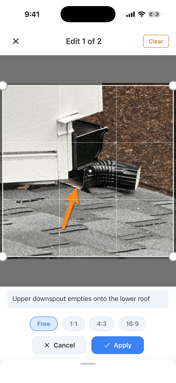 The crop view: the photo with a white crop frame, corner handles and grid lines, the caption below, preset buttons Free (selected), 1:1, 4:3 and 16:9, and Cancel and Apply buttons