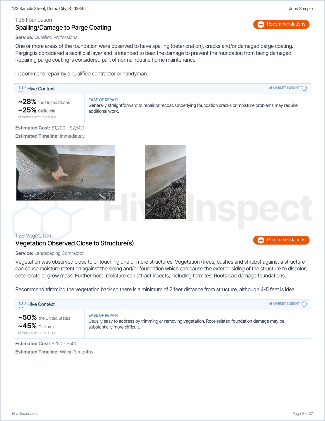 A PDF report page with the company logo drawn very faintly in the middle of the page, behind the comments
