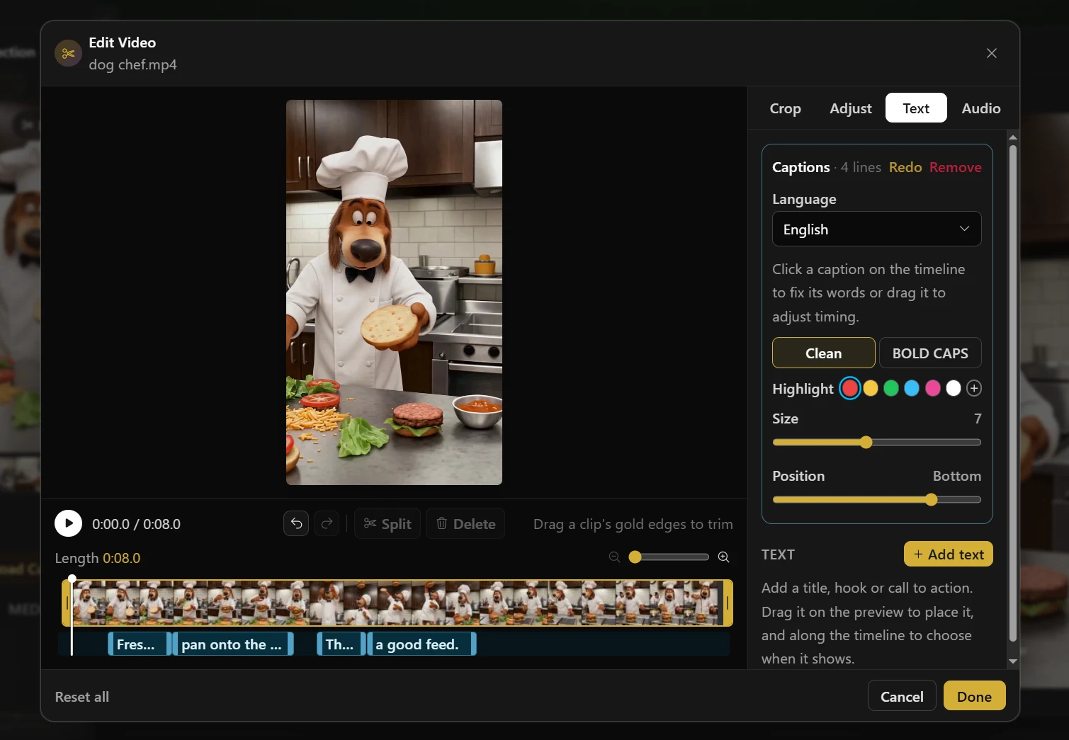 The editor panel with a video loaded showing caption bars in the timeline.