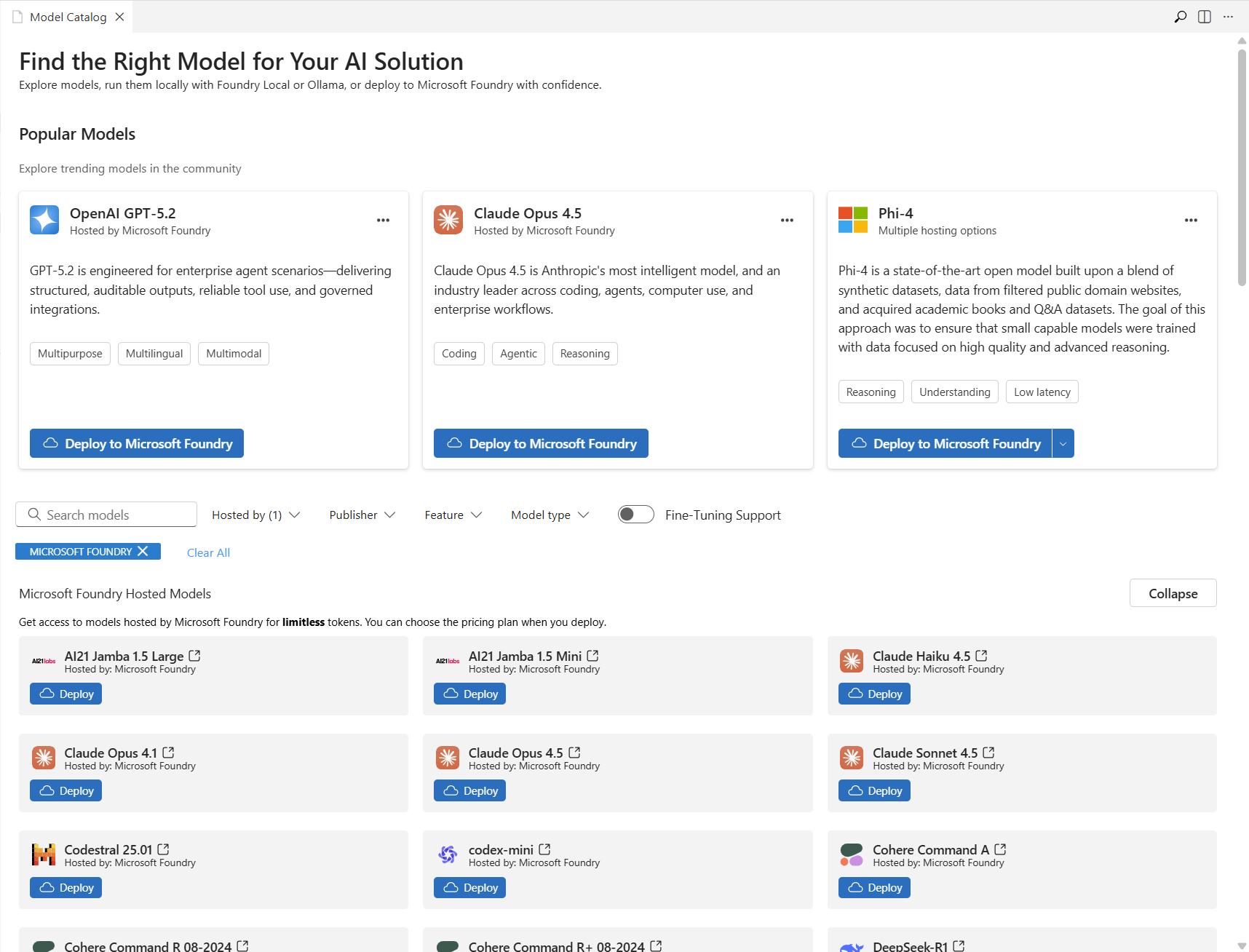 Screenshot of the **Model Catalog** page in VS Code.